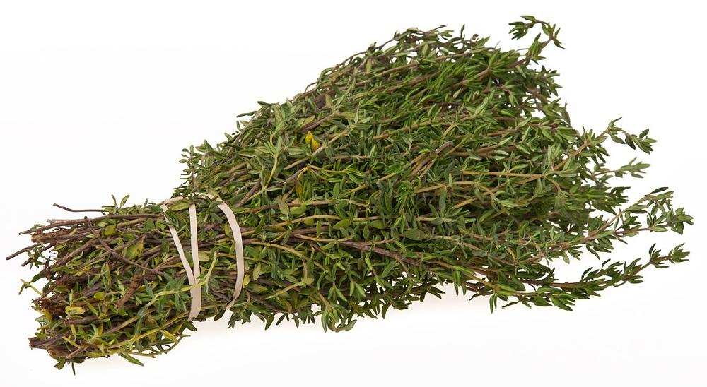 Tymianek – zdrowe zioło w każdym domu